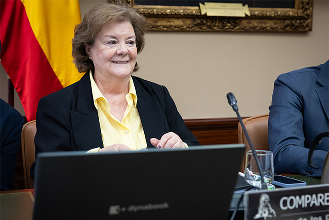La presidenta del Tribunal de Cuentas presenta el resultado de siete informes de fiscalización y una moción ante la Comisión Mixta